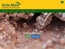 Tablet Screenshot of antsalive.com